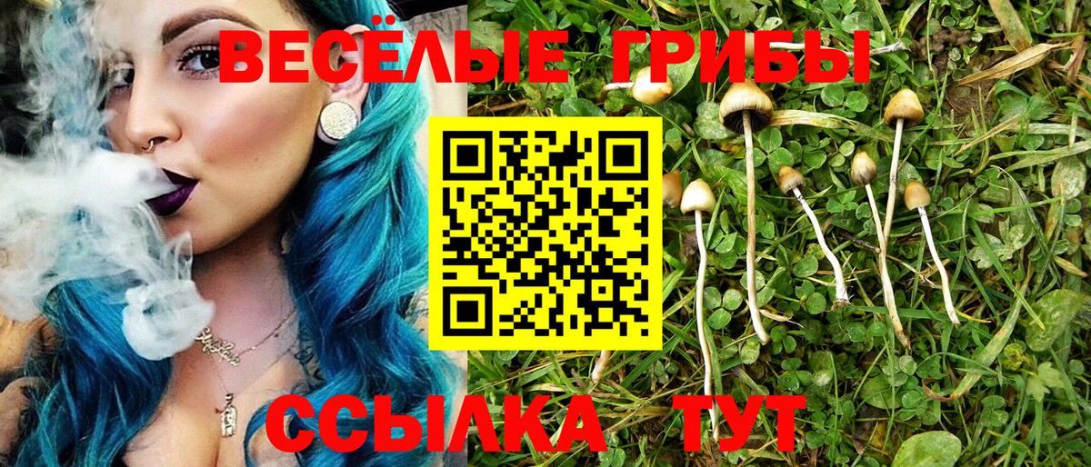 Димитровград  Псилоцибиновые грибы ЛСД  Вход с VPN 
