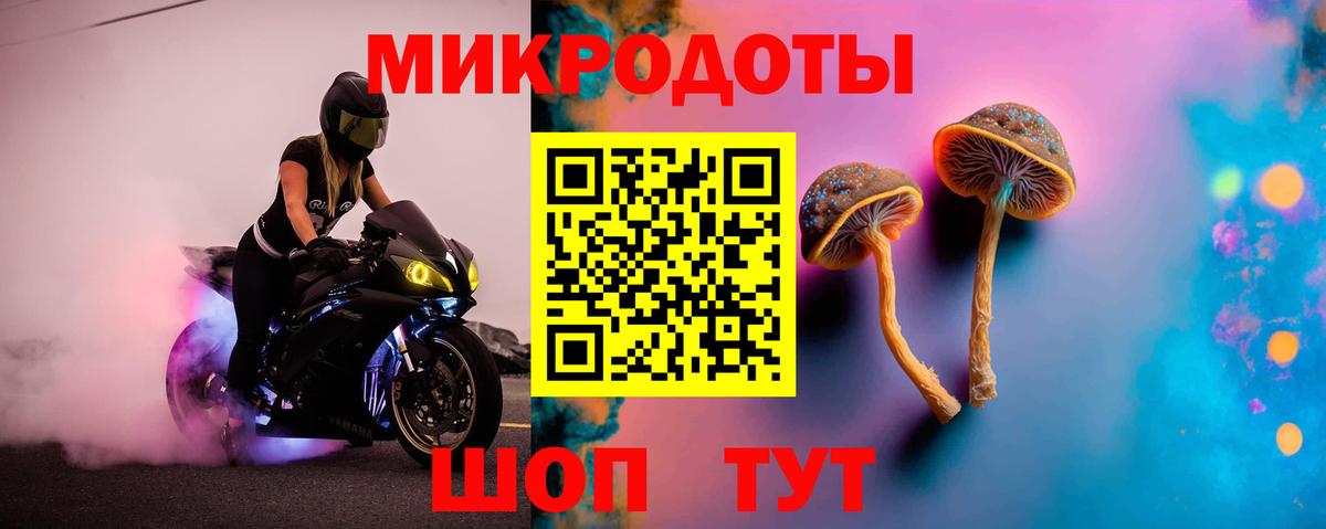 Галлюциногенные грибы ЛСД Димитровград